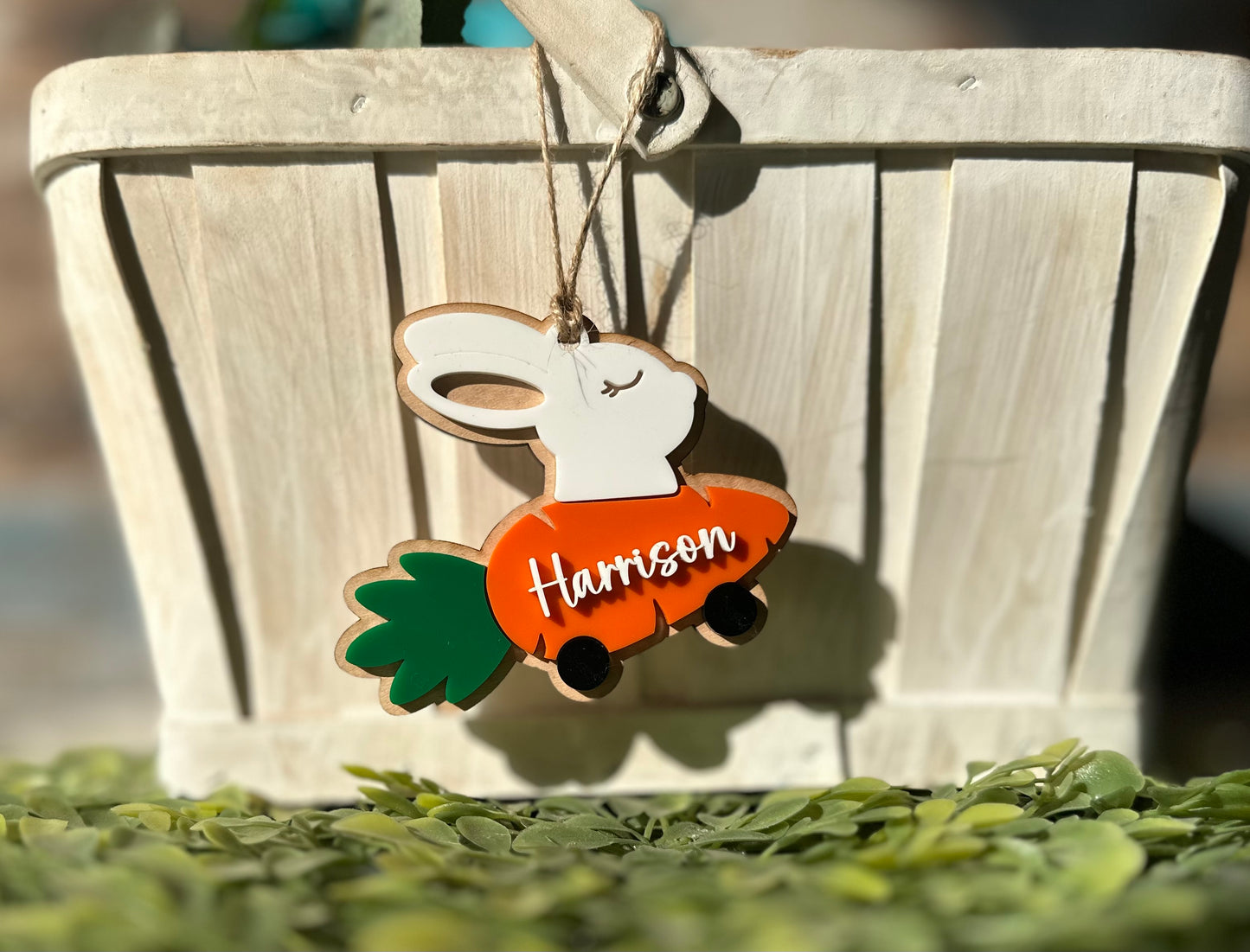 Bunny on Carrot car