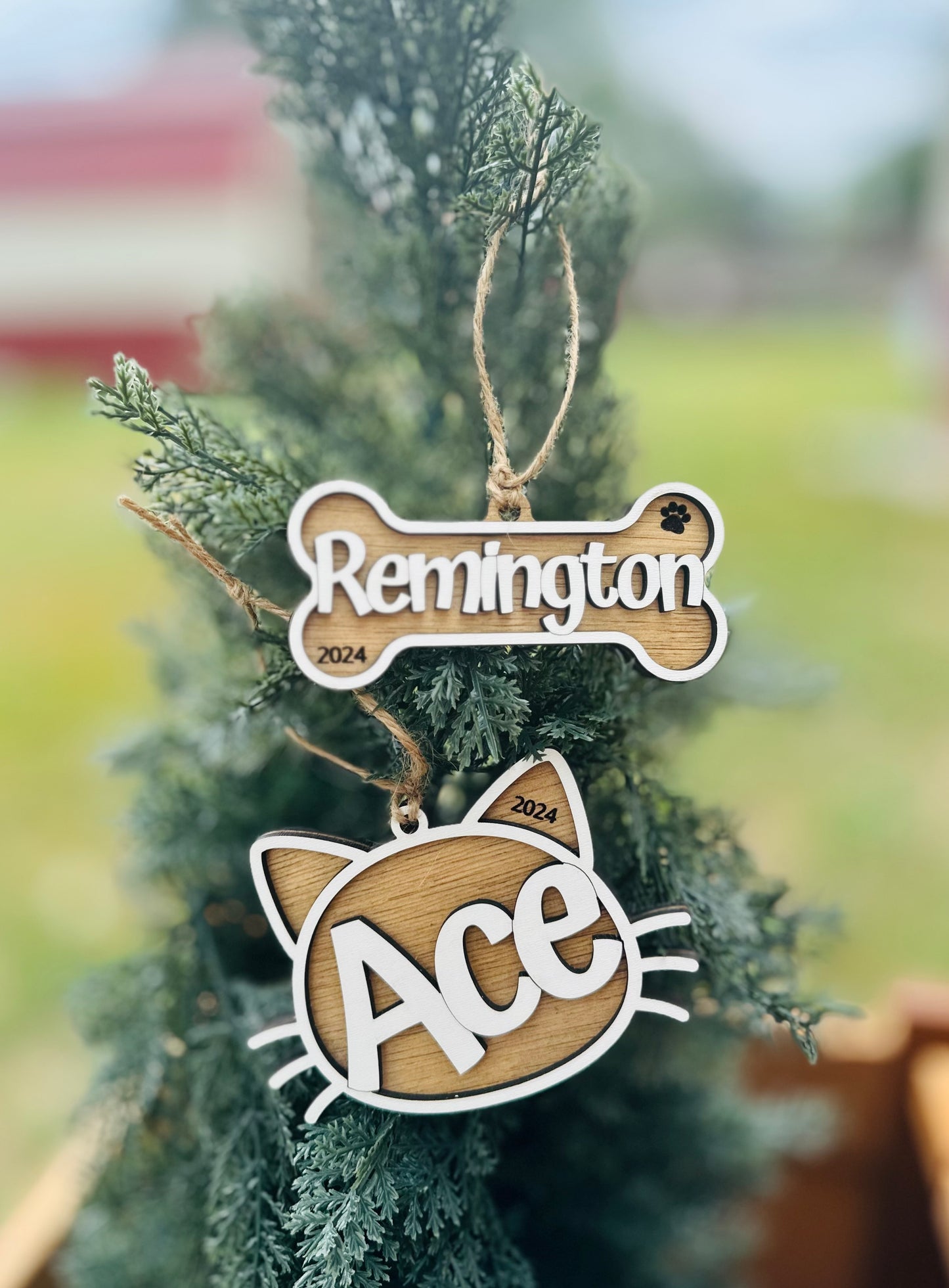 Cat & dog name ornament