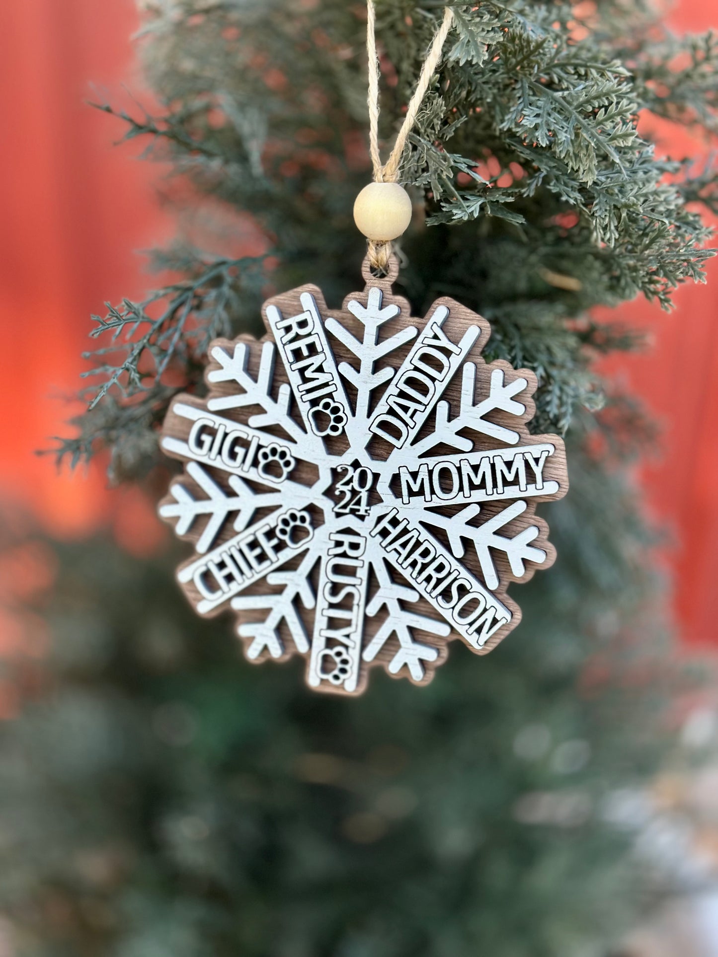 Snowflake family ornaments