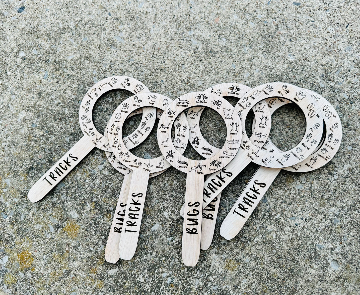 Bug and animal track identifiers