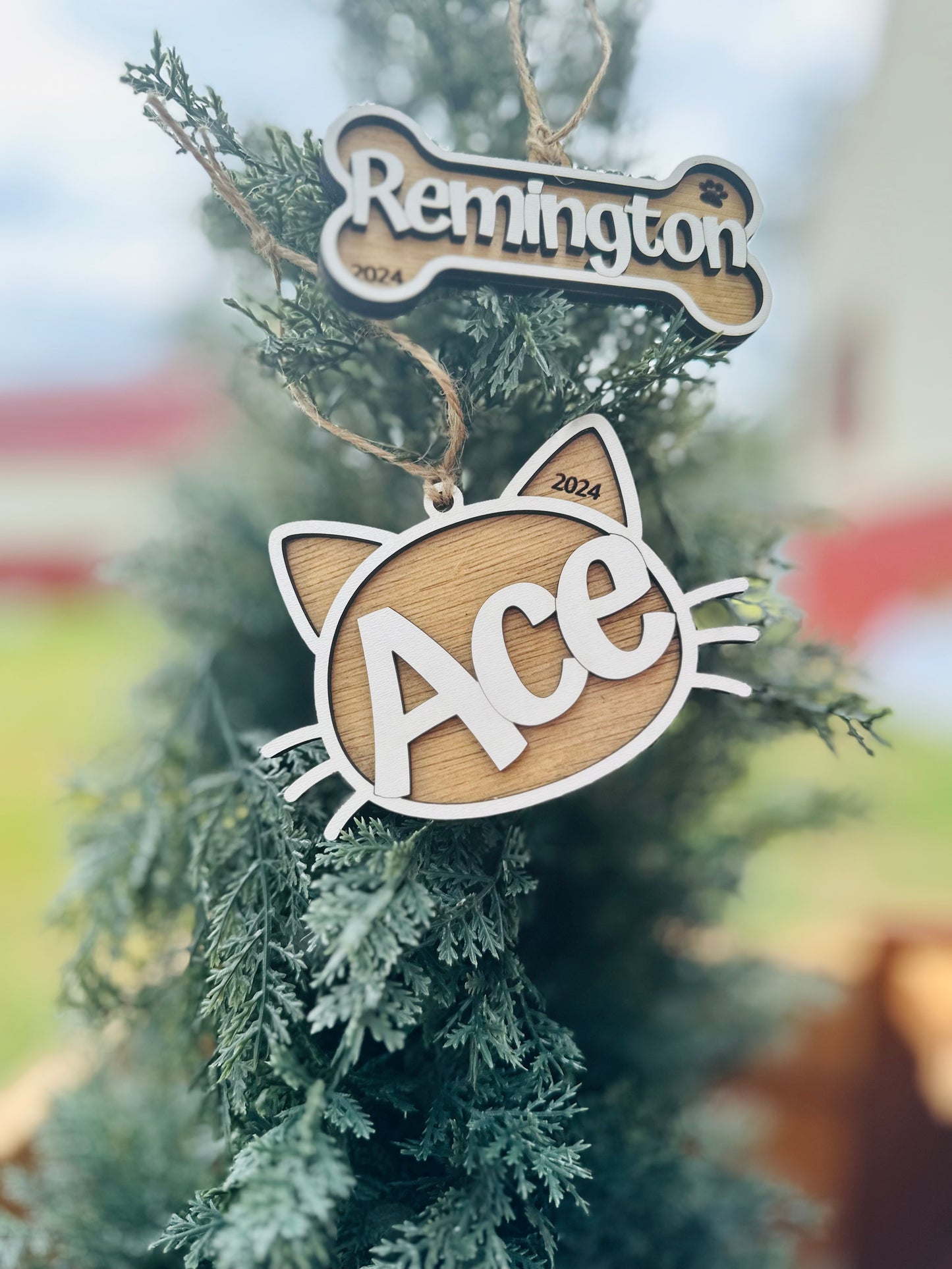 Cat & dog name ornament